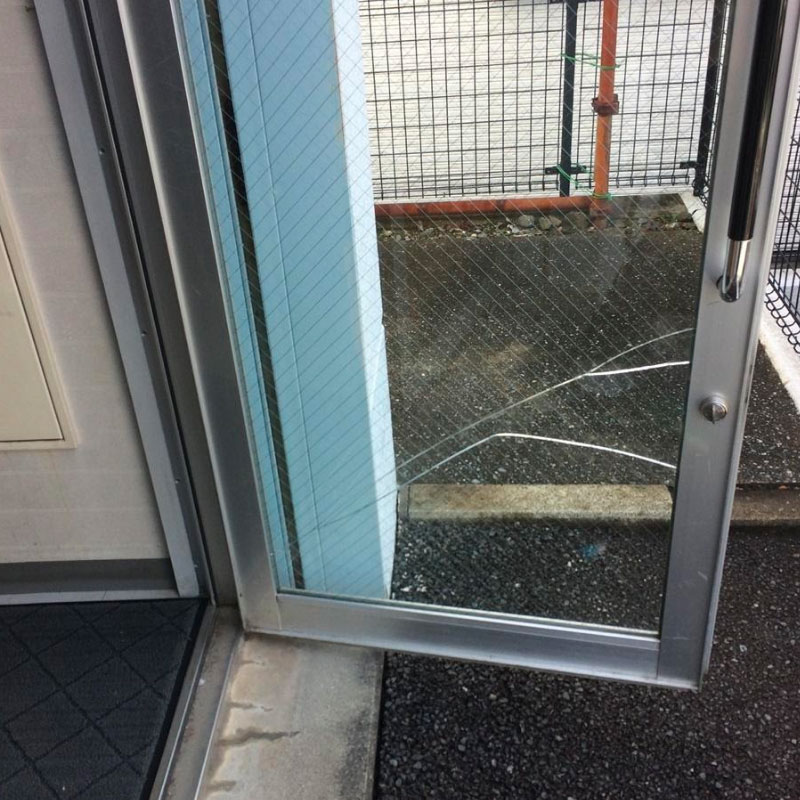 海老名市本郷エリア、会社事務所入口ドア透明ワイヤーガラスの風の被害によるヒビ割れビフォア画像