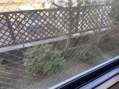【横浜】一軒家の窓ガラスを修理しました！アフタ画像